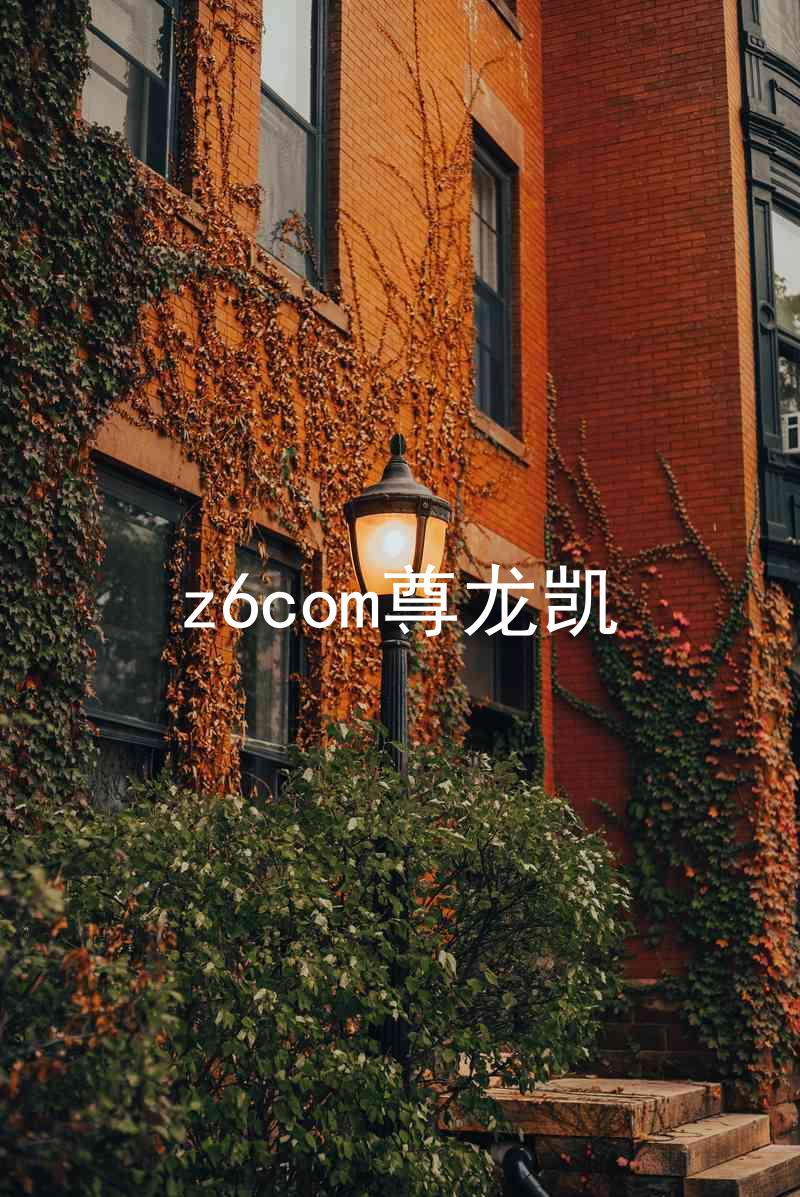z6com尊龙凯